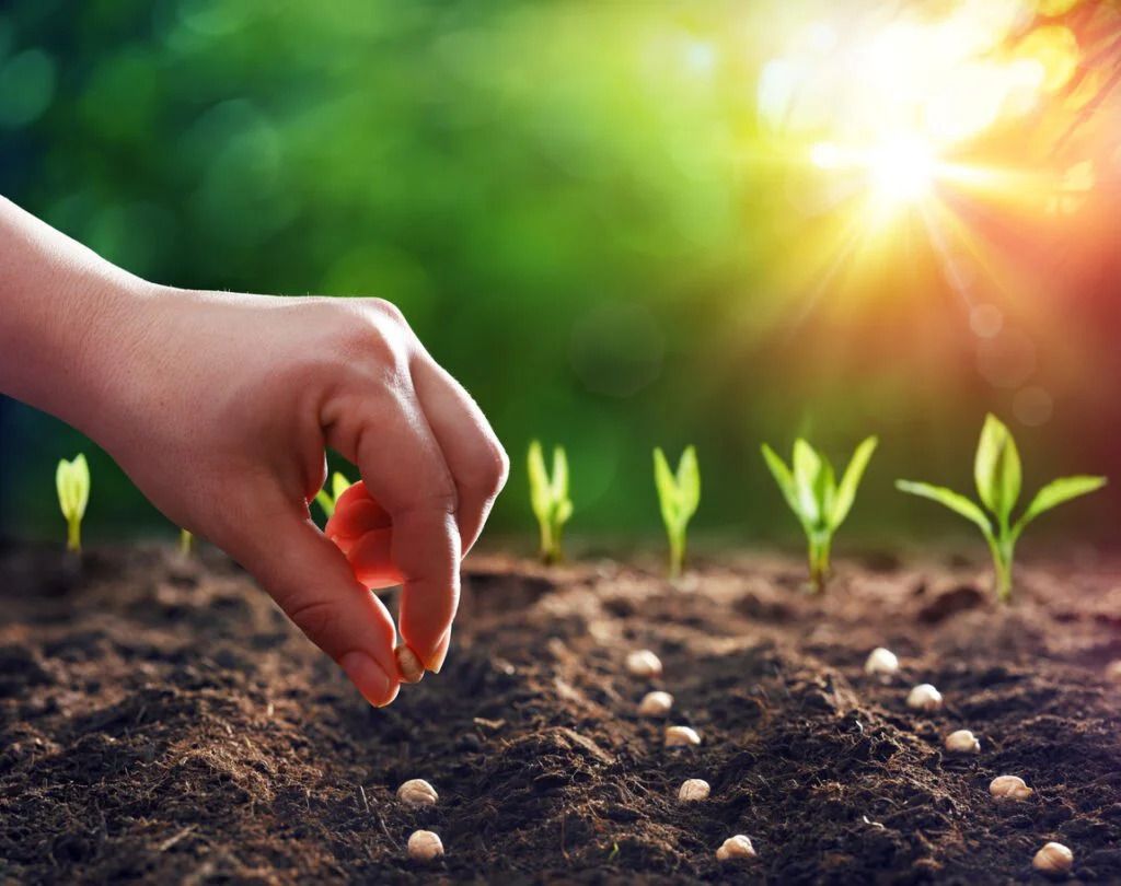 Best-Practices-for-Zero-or-Minimum-Tillage