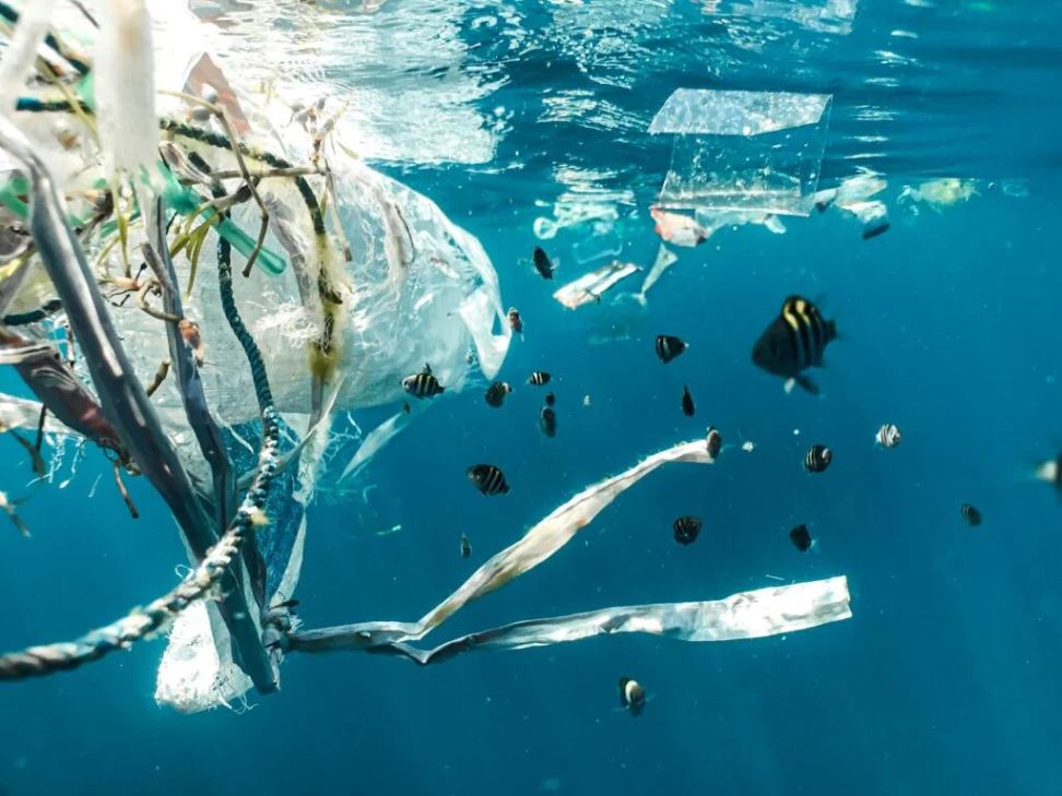 Plastic_Impact_at-the_Sea