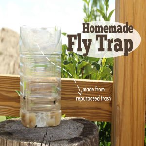 Preparing Home-Made Yellow Sticky Traps