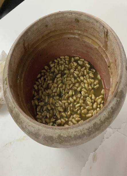 Seed treatment