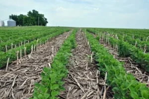 zero-tillage-or-minimum-tillage