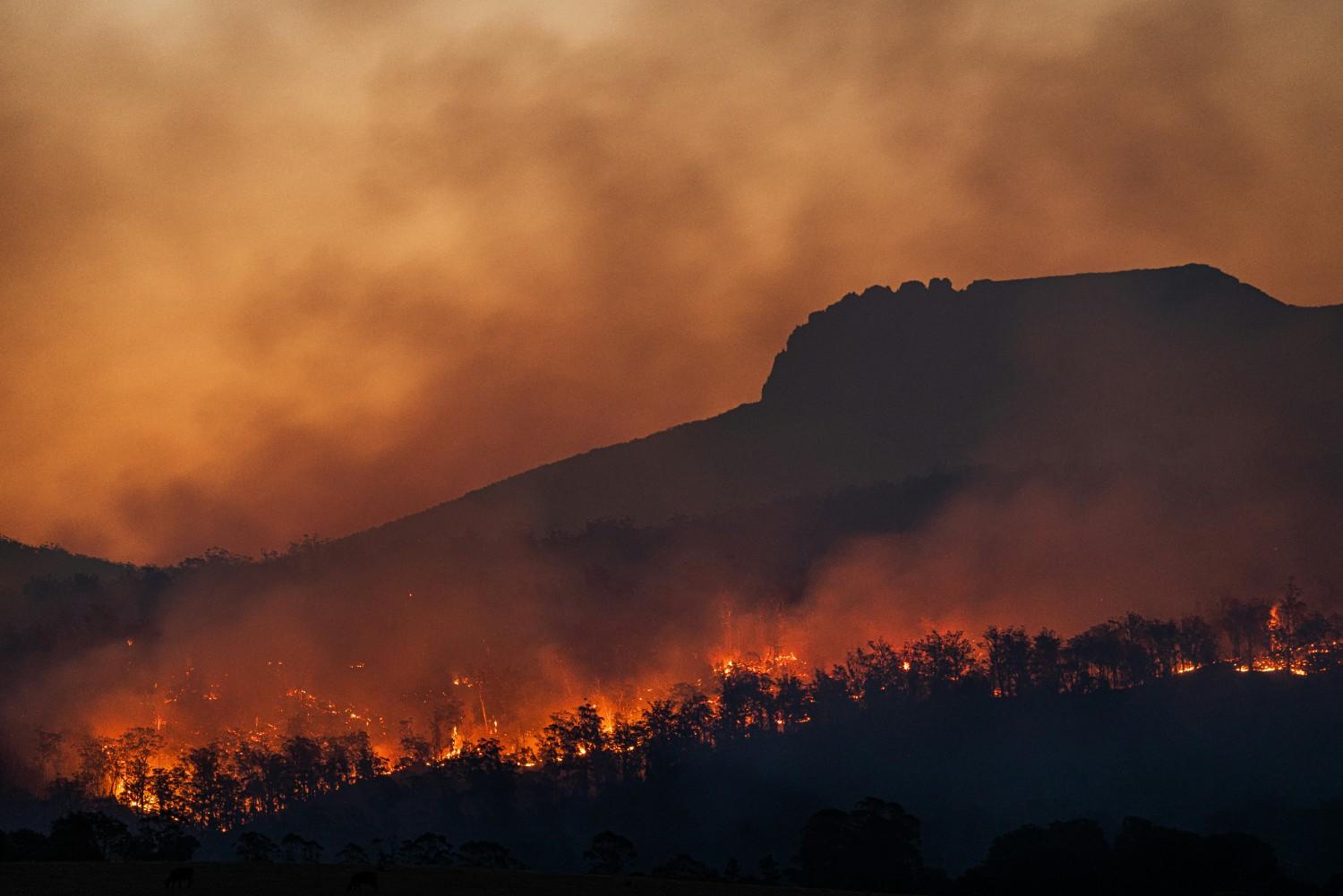 Climate Change Causes, Impacts & Solutions