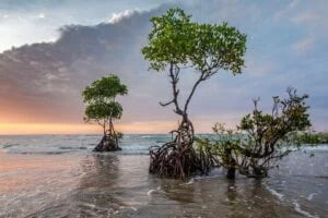 The Story of Climate Change in My Eyes