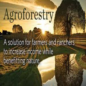 Climate Change Blog