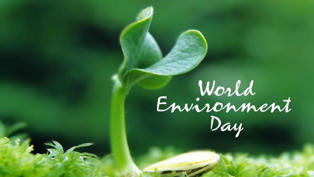Sustainability Blogs