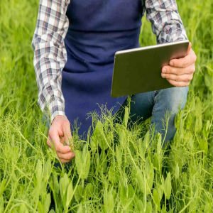 soil texture calculator