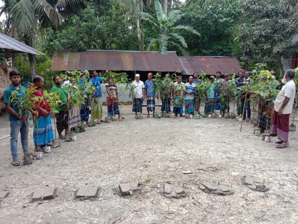Agroforestry-Plant Distribution